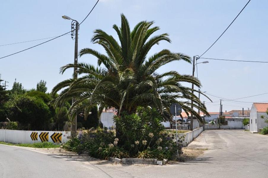 Travessa do Cerrado