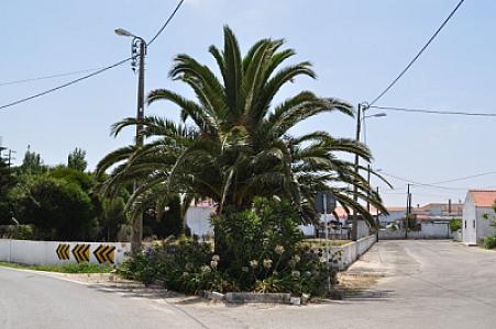 Travessa do Cerrado