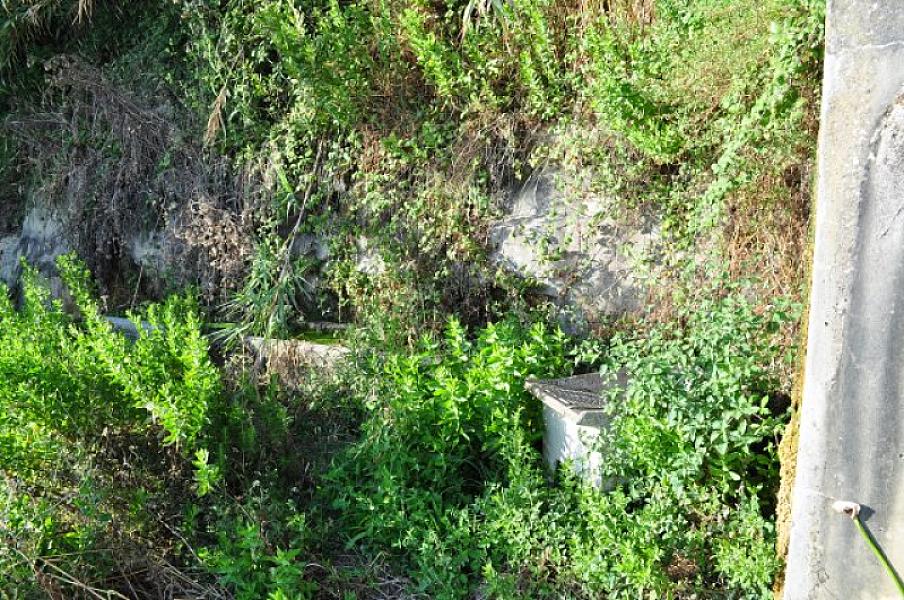 Fonte da Forcada