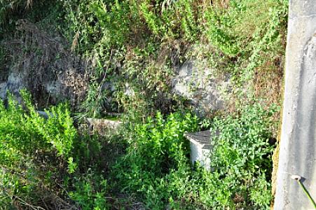 Fonte da Forcada