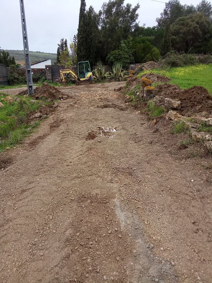Gallery image 11