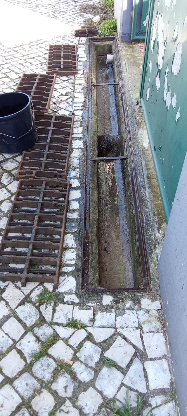 Gallery image 11