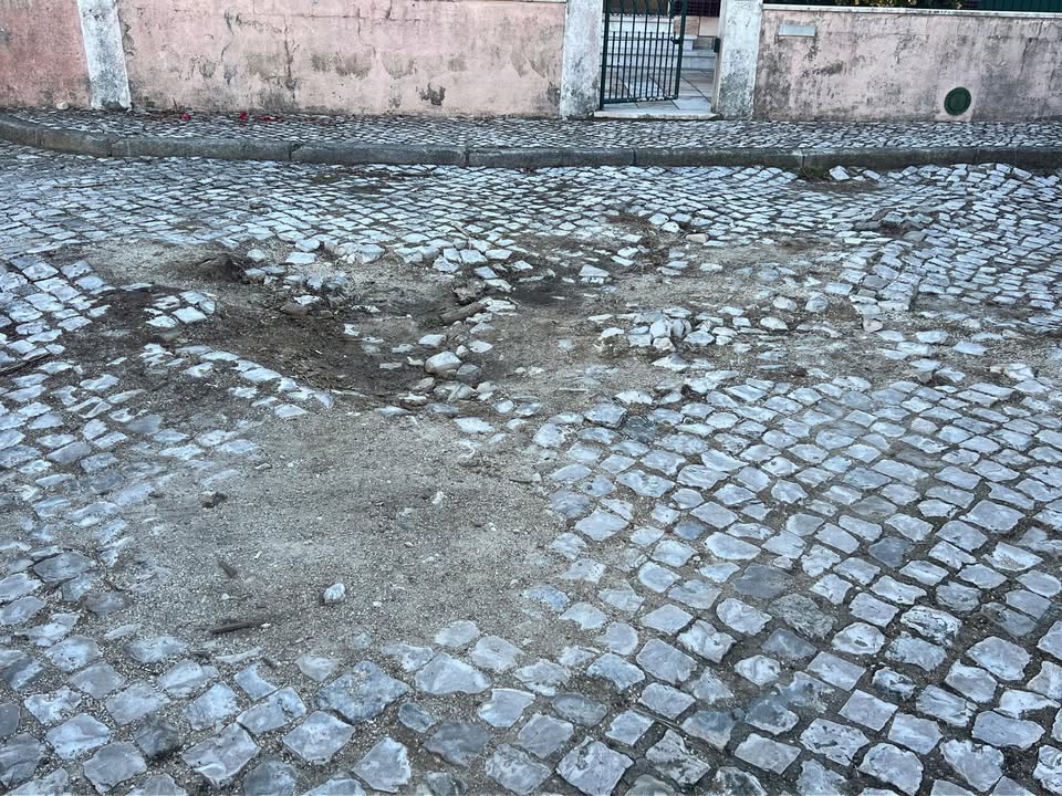 Gallery image 11