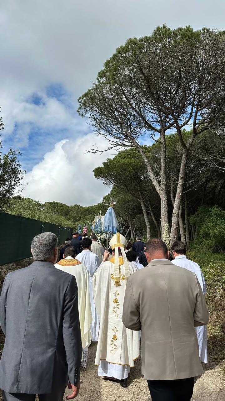 Gallery image 12