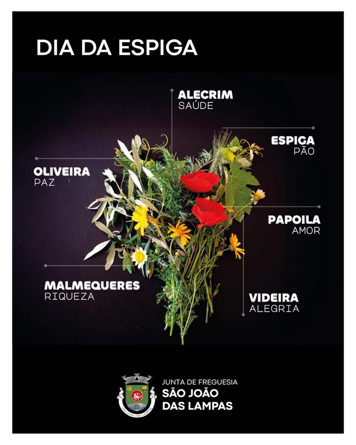 Freguesia celebra Dia da Espiga na Quinta-feira da Ascensão