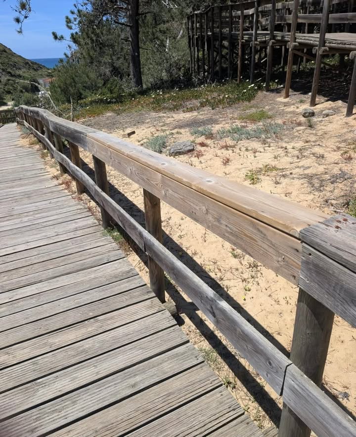 Gallery image 6