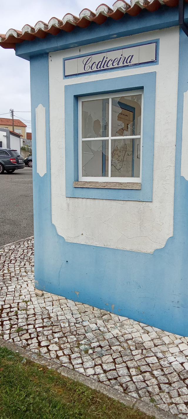 Gallery image 7