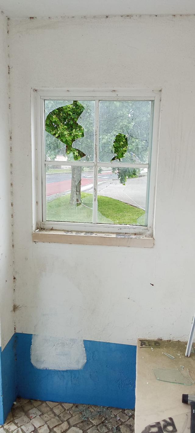 Gallery image 9