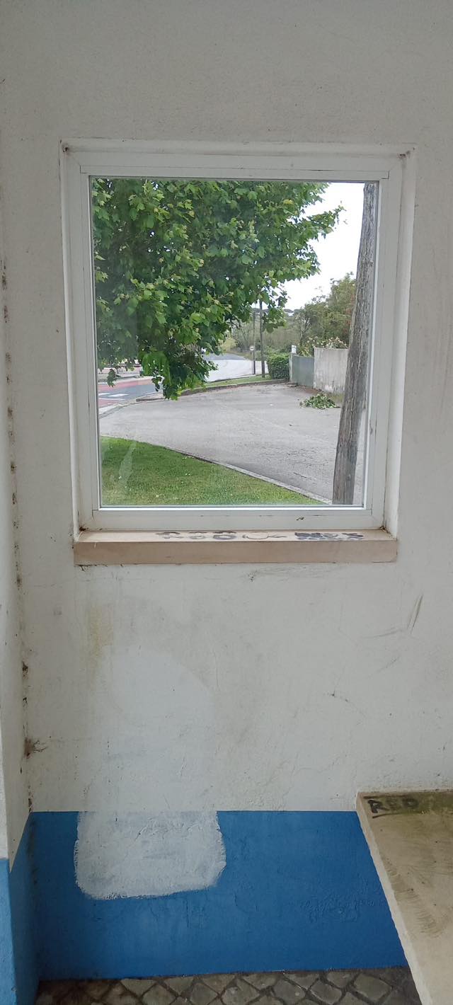 Gallery image 11
