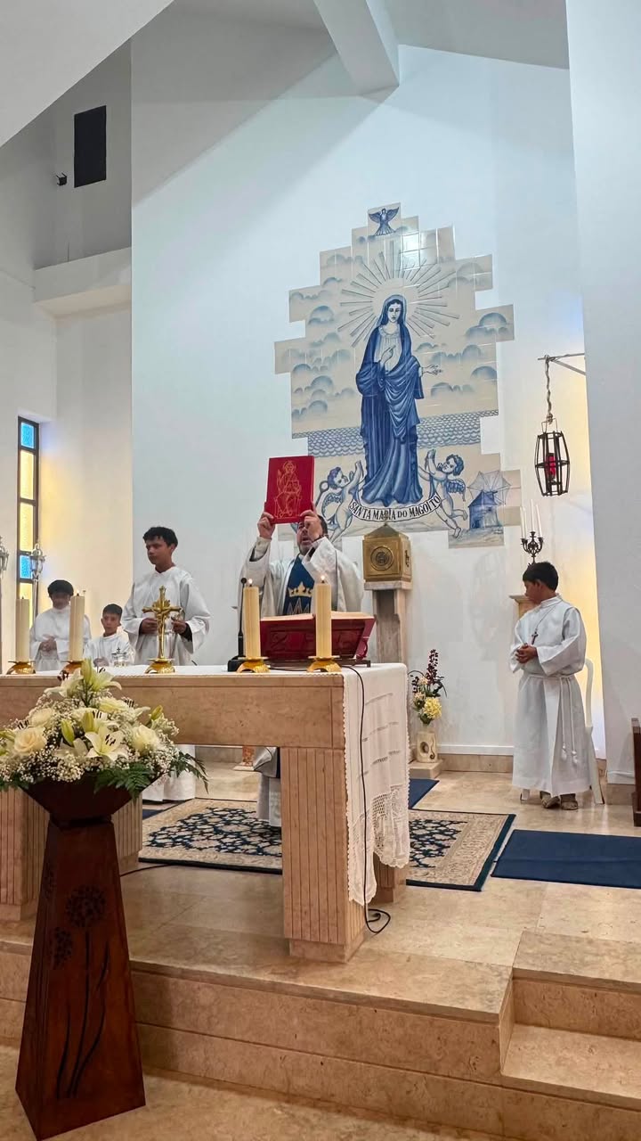 Gallery image 12
