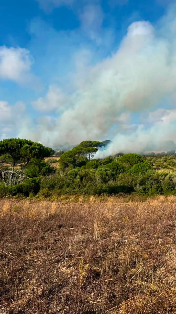 Incêndio Rural em São João das Lampas controlado com sucesso