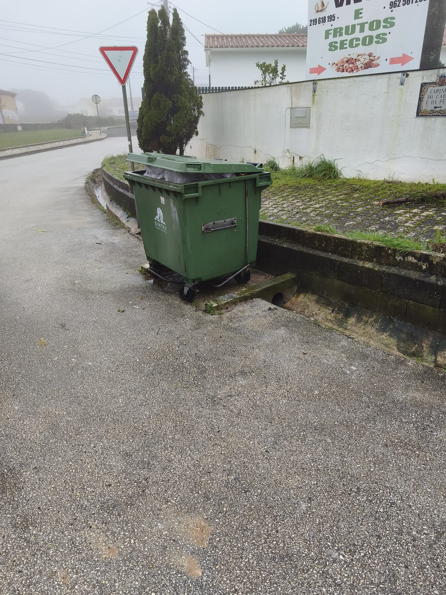 Recolha de Monos e Verdes mantém-se ativa apesar do mau tempo